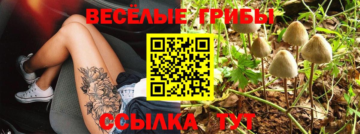 Галлюциногенные грибы Cubensis  Псилоцибиновые грибы MAGIC MUSHROOMS  Аргун  Вход с VPN 