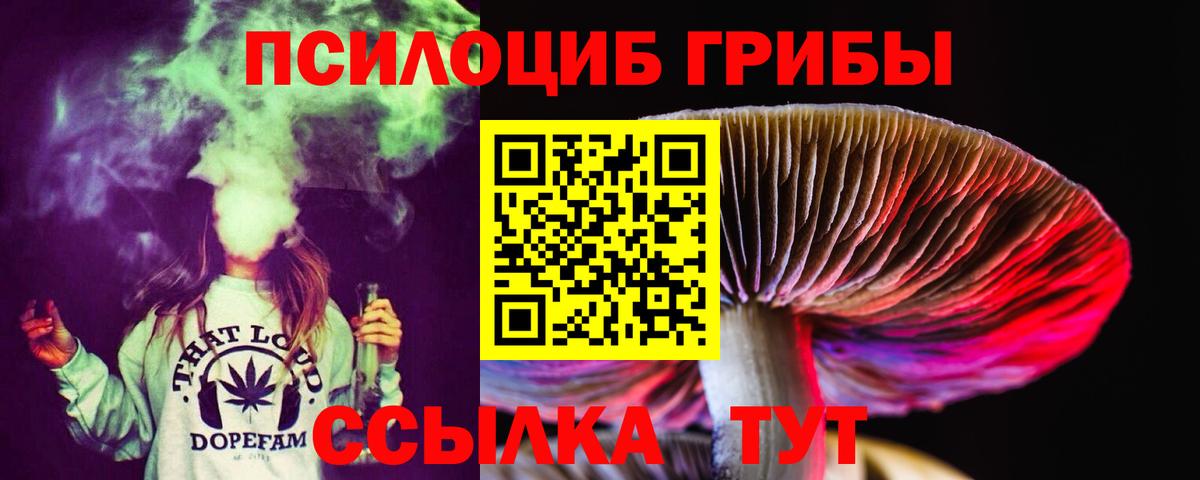 Галлюциногенные грибы GOLDEN TEACHER Аргун